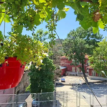 Cozy With French Windows Apartamento *